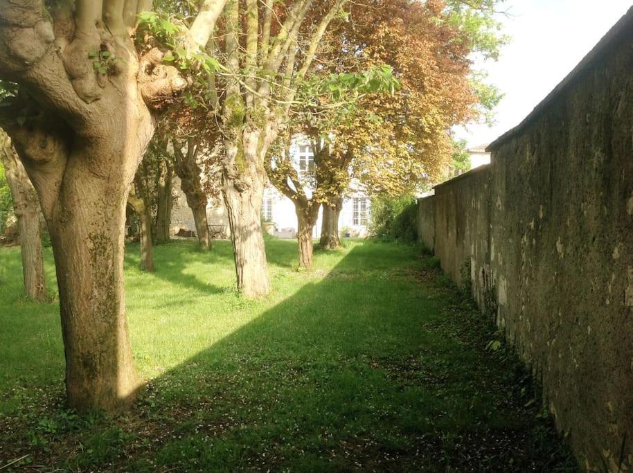 Ancien Presbytere Au Coeur Du Village Mauvezin  Εξωτερικό φωτογραφία